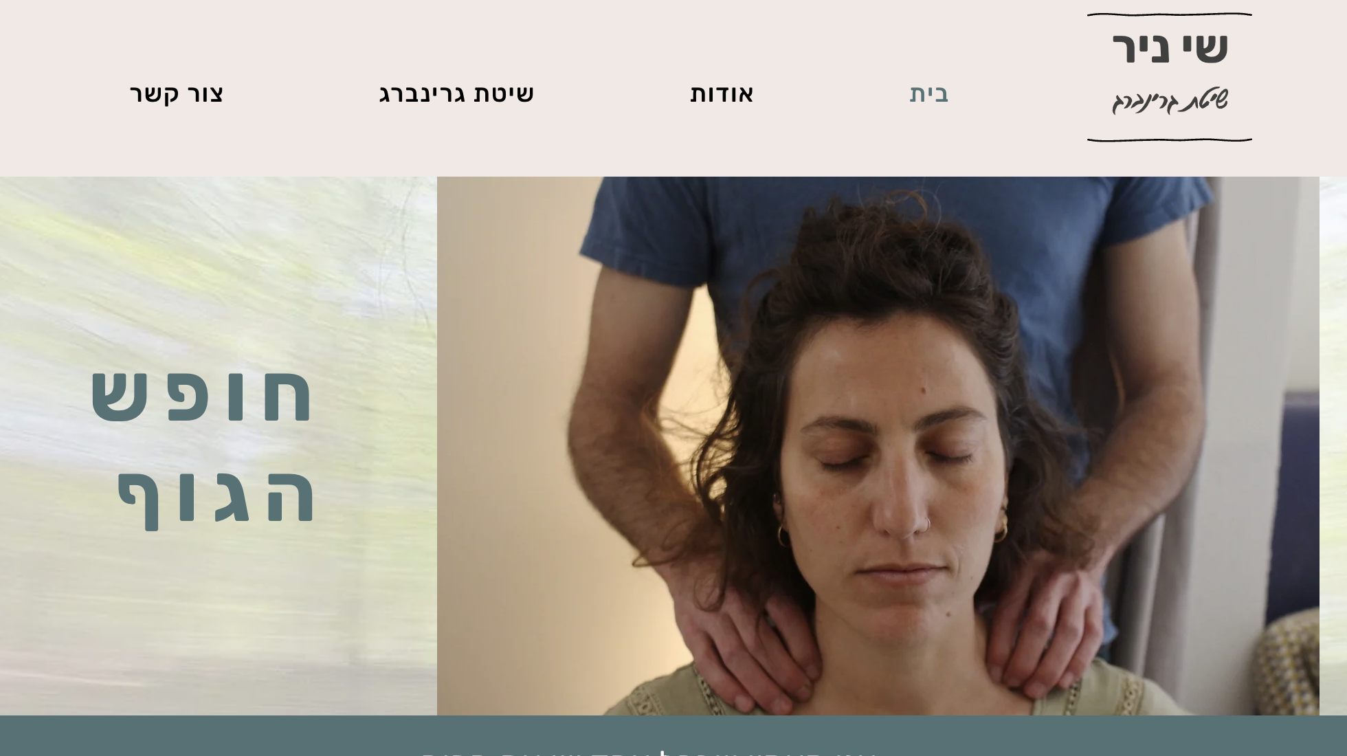 שי ניר
